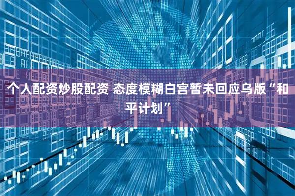 个人配资炒股配资 态度模糊　白宫暂未回应乌版“和平计划”