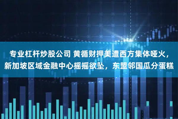 专业杠杆炒股公司 黄循财押美遭西方集体哑火，新加坡区域金融中心摇摇欲坠，东盟邻国瓜分蛋糕