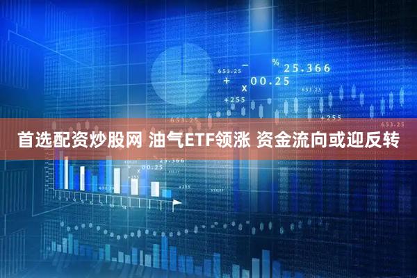 首选配资炒股网 油气ETF领涨 资金流向或迎反转